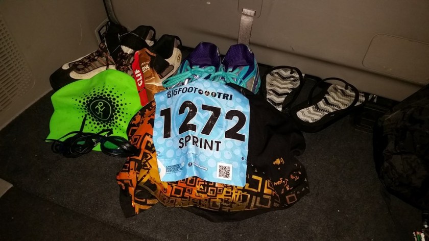 Sprint Triathlon Last Year.jpg